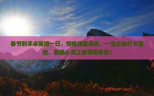 春节到西藏羊卓雍措一日