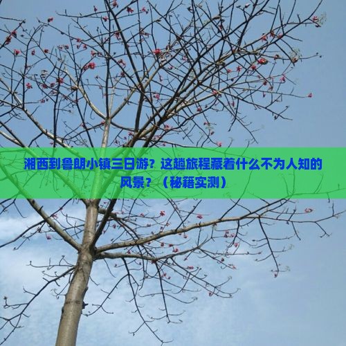 湘西到西藏鲁朗小镇三日游