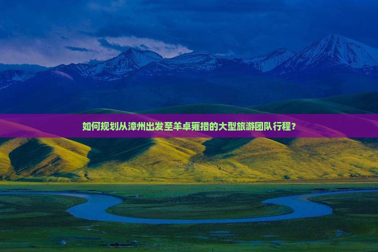 如何规划从漳州出发至羊卓雍措的大型旅游团队行程？