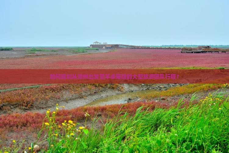 如何规划从漳州出发至羊卓雍措的大型旅游团队行程？