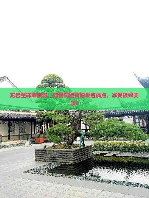 龙岩至珠峰旅游，如何规避高原反应痛点，享受极致美景？