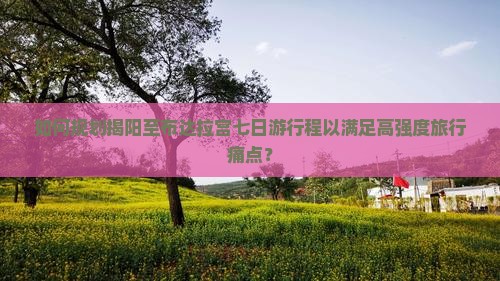 如何规划揭阳至布达拉宫七日游行程以满足高强度旅行痛点？