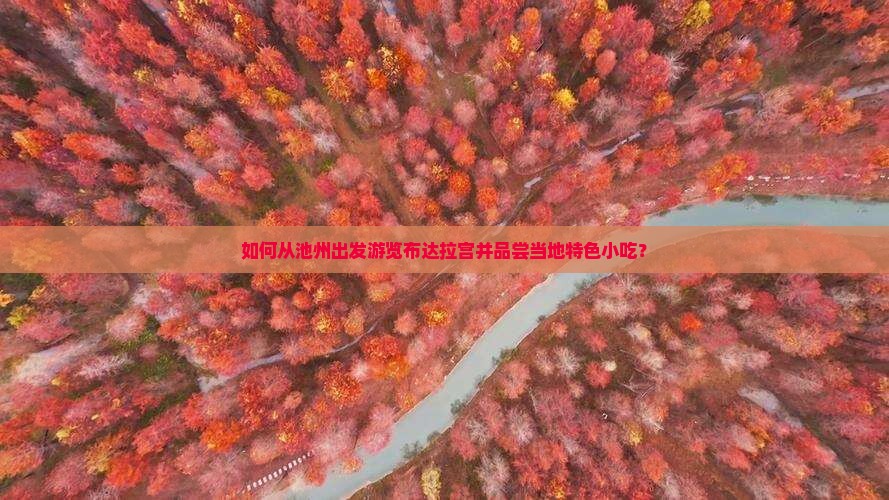 如何从池州出发游览布达拉宫并品尝当地特色小吃？
