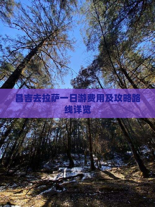 昌吉去拉萨一日游费用及攻略路线详览