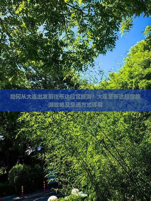 如何从大连出发前往布达拉宫旅游？大连至布达拉宫旅游攻略及交通方式详解