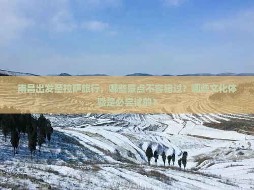 南昌出发至拉萨旅行，哪些景点不容错过？哪些文化体验是必尝试的？