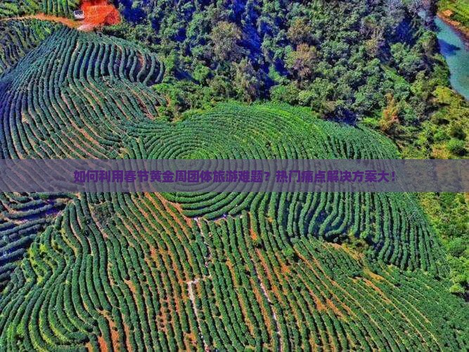 如何利用春节黄金周团体旅游难题？热门痛点解决方案大！