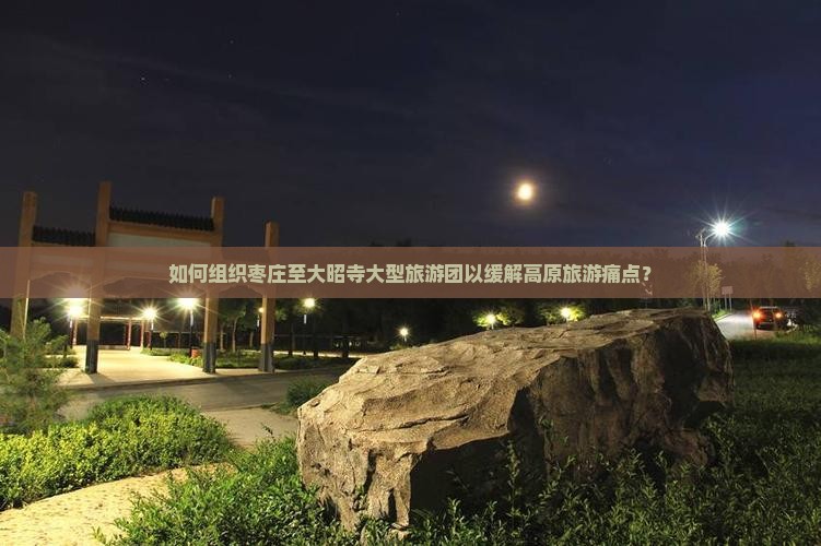 如何组织枣庄至大昭寺大型旅游团以缓解高原旅游痛点？