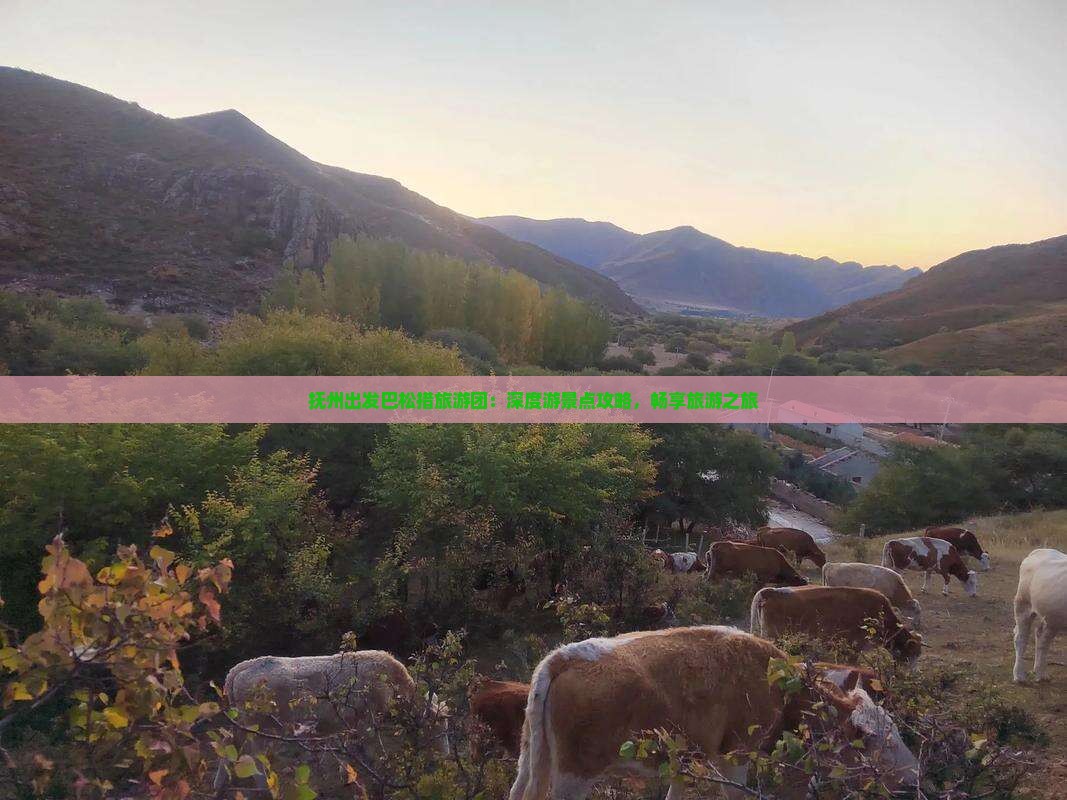 抚州出发巴松措旅游团：深度游景点攻略，畅享旅游之旅