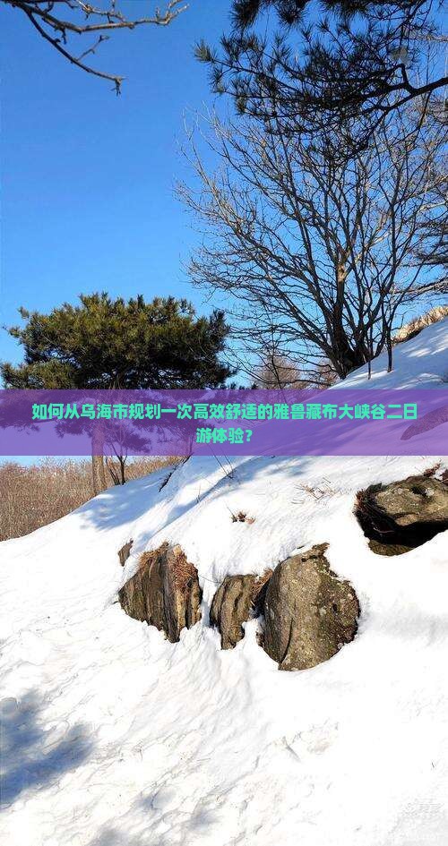 如何从乌海市规划一次高效舒适的雅鲁藏布大峡谷二日游体验？