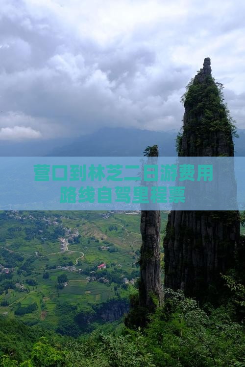 营口到林芝二日游费用路线自驾里程票