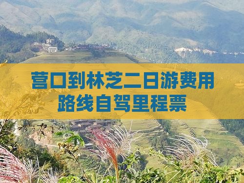营口到林芝二日游费用路线自驾里程票