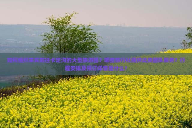 如何组织来宾前往卡定沟的大型旅游团？哪些旅行社提供此类团队服务？行程安排及预订详情是什么？
