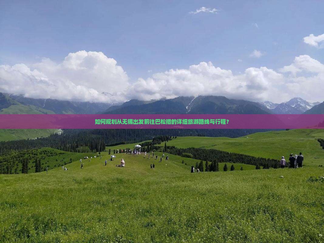 如何规划从无锡出发前往巴松措的详细旅游路线与行程？