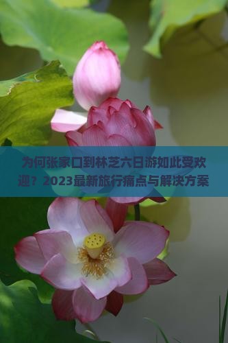 为何张家口到林芝六日游如此受欢迎？2023最新旅行痛点与解决方案！
