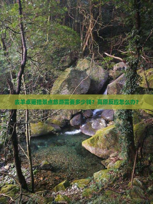 去羊卓雍措景点旅游需要多少钱？高原反应怎么办？