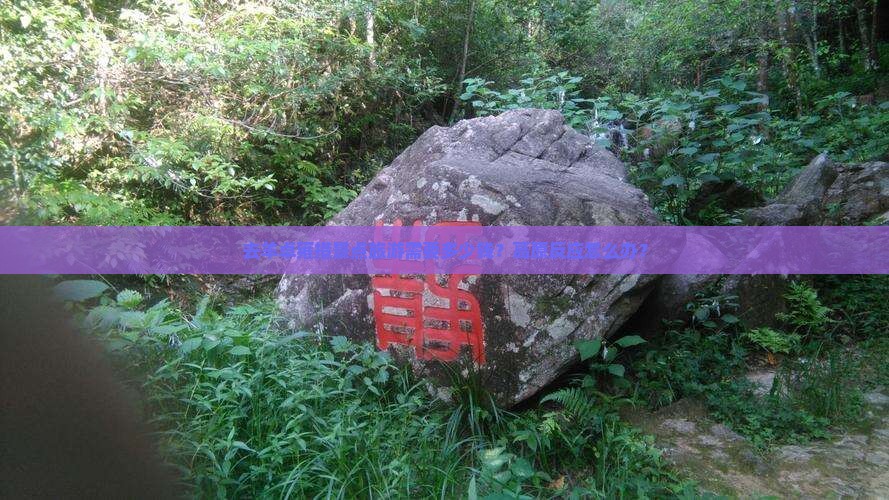 去羊卓雍措景点旅游需要多少钱？高原反应怎么办？