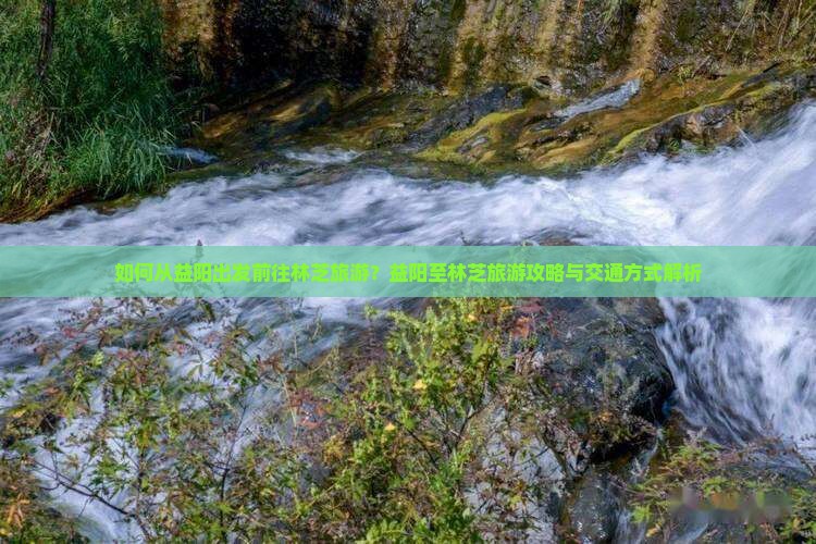 如何从益阳出发前往林芝旅游？益阳至林芝旅游攻略与交通方式解析