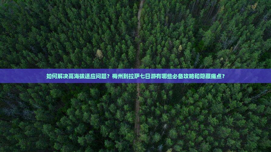 如何解决高海拔适应问题？梅州到拉萨七日游有哪些必备攻略和隐藏痛点？