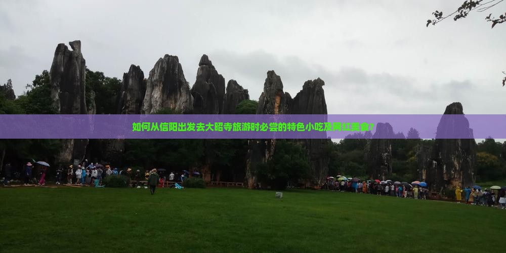 如何从信阳出发去大昭寺旅游时必尝的特色小吃及网红美食？