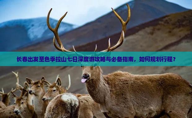长春出发至色季拉山七日深度游攻略与必备指南，如何规划行程？