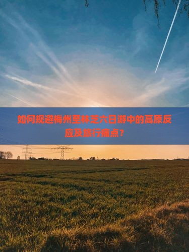 如何规避梅州至林芝六日游中的高原反应及旅行痛点？
