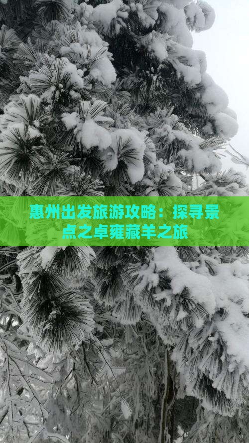惠州出发旅游攻略：探寻景点之卓雍藏羊之旅