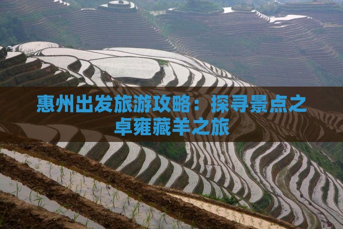 惠州出发旅游攻略：探寻景点之卓雍藏羊之旅