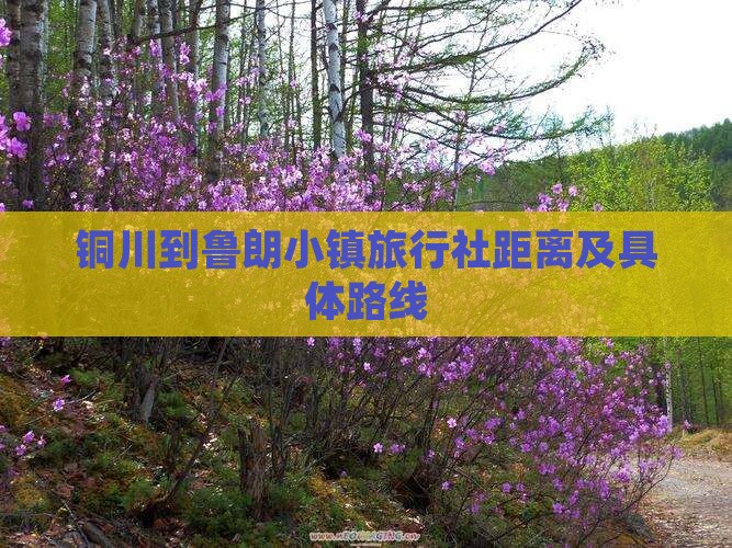 铜川到鲁朗小镇旅行社距离及具体路线
