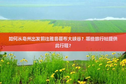 如何从亳州出发前往雅鲁藏布大峡谷？哪些旅行社提供此行程？