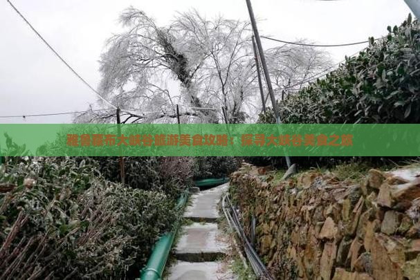 雅鲁藏布大峡谷旅游美食攻略：探寻大峡谷美食之旅