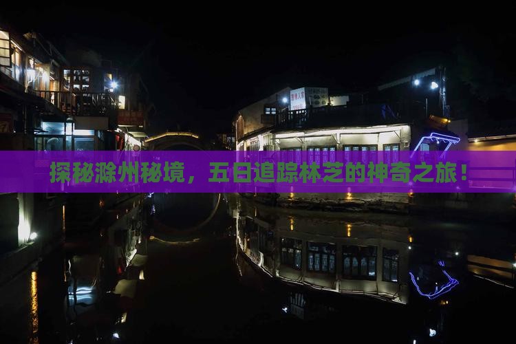 探秘滁州秘境，五日追踪林芝的神奇之旅！