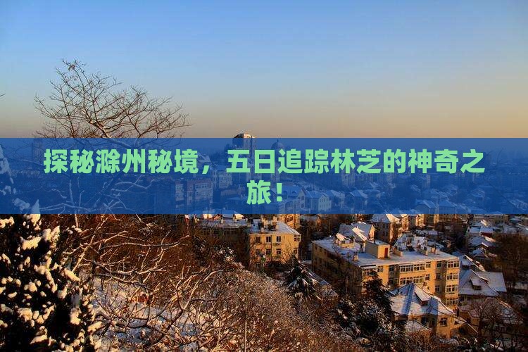 探秘滁州秘境，五日追踪林芝的神奇之旅！