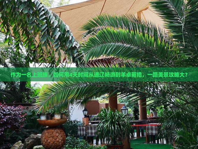 作为一名上班族，如何用4天时间从通辽畅游到羊卓雍措，一路美景攻略大？