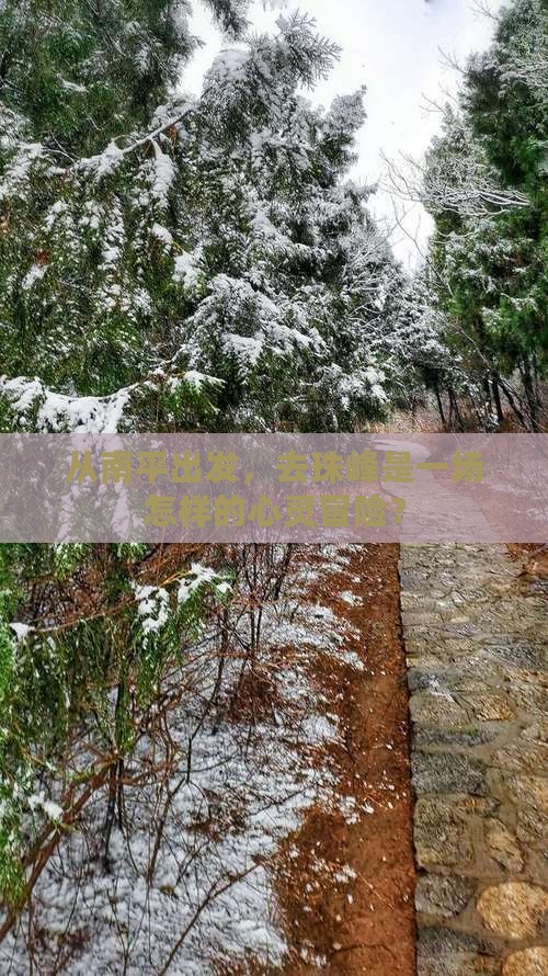 从南平出发，去珠峰是一场怎样的心灵冒险？
