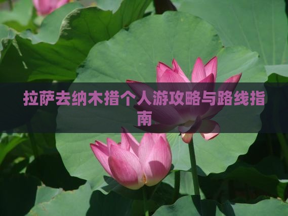 拉萨去纳木措个人游攻略与路线指南