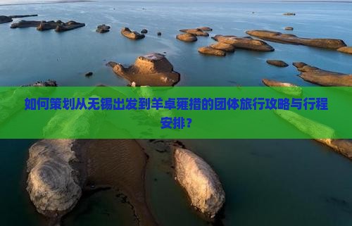 如何策划从无锡出发到羊卓雍措的团体旅行攻略与行程安排？