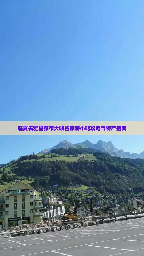 临夏去雅鲁藏布大峡谷旅游小吃攻略与特产指南
