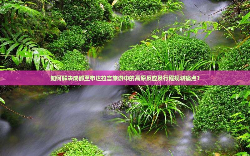如何解决成都至布达拉宫旅游中的高原反应及行程规划痛点？