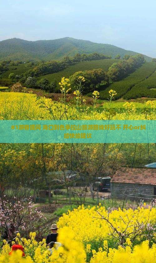 #1游客提问 海口到色季拉山旅游路线好玩不 开心or纠结快给建议