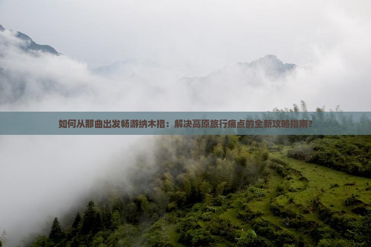 如何从那曲出发畅游纳木措：解决高原旅行痛点的全新攻略指南？