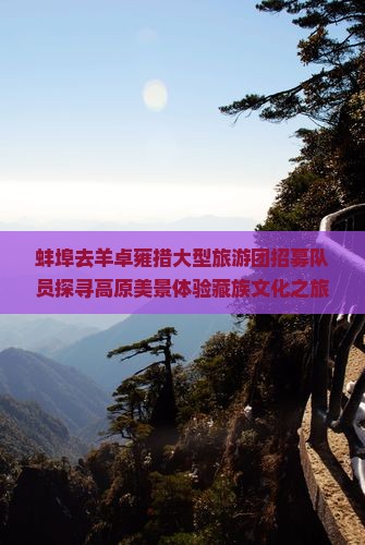 蚌埠去羊卓雍措大型旅游团招募队员探寻高原美景体验藏族文化之旅