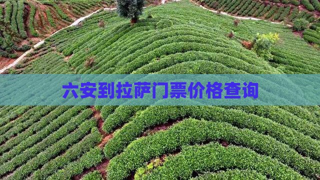 六安到拉萨门票价格查询