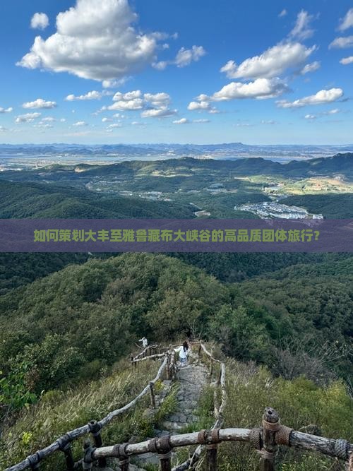 如何策划大丰至雅鲁藏布大峡谷的高品质团体旅行？
