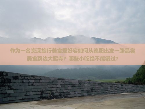 作为一名资深旅行美食爱好宅如何从德阳出发一路品尝美食到达大昭寺？哪些小吃绝不能错过？
