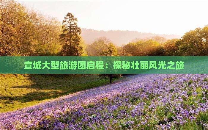 宣城大型旅游团启程：探秘壮丽风光之旅