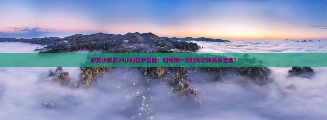 驴友小张的24小时拉萨冒险：如何用一天时间玩转高原圣地？