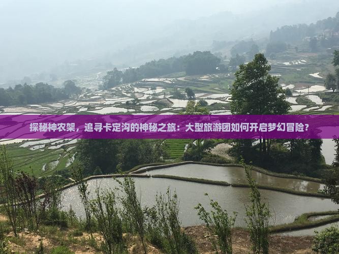 探秘神农架，追寻卡定沟的神秘之旅：大型旅游团如何开启梦幻冒险？