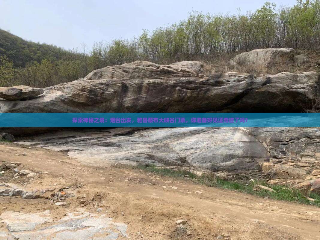 探索神秘之境:烟台出发,雅鲁藏布大峡谷门票,你准备好见证奇迹了吗? 探索神秘之境:烟台出发,雅鲁藏布大峡谷门票,你准备好见证奇迹了吗?