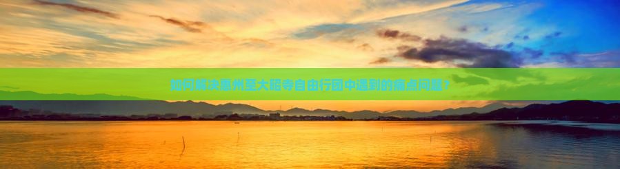 如何解决惠州至大昭寺自由行团中遇到的痛点问题？